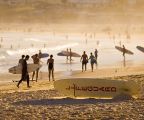 Youth Hostel Bondi Australia