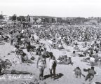 Bondi Affordable Accommodation